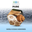 Pure World Ocean Harmonies cover