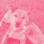 Music for Doggy Radio - Dream Like Jazz Quintet cover