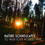 Nature Soundscapes to Wash Your Worries Away cover