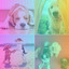 Music for Puppy Nap Times - Festive Chill Out Guitar cover