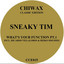 Sneaky Tim — Planet Wall cover art