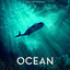 Bioluminescence cover