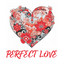 Perfect Love cover