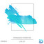 Rumors cover