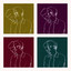 Barru - Change