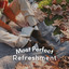 Most Perfect Refreshment cover