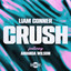 Crush (Wilson Remix) - Arden Alexa, Wilson