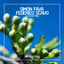 La Gota Fria - Original Club Mix