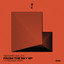 From The Sky - Fedele Remix