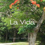 2022 La Vida Vol. 2 cover