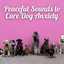 Peaceful Sounds to Cure Dog Anxiety cover