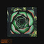 Circle cover