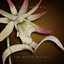 I\'m Gone artwork