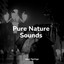 Pure Nature Sounds cover