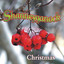 Rudolph the Red Nosed Reindeer / Frosty the Snowman cover