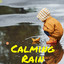 Calming Rain cover