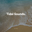 Tidal Sounds cover
