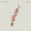 Flowers - Dennis Korn