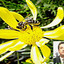 ALSUPER MIÉRCOLES - 06 MAYO