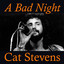 A Bad Night