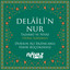 Delaili'n Nur 1. Bölüm cover