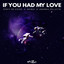 If You Had My Love - Extended Mix