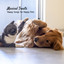 Musical Treats: Happy Songs for Happy Pets cover