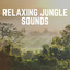 Relaxing Jungle Sounds cover