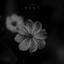. - Sleep Country - Why Trust Anyone Else