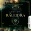 Teil 213 - Wer das Dunkel ruft - Kaleidra-Trilogie, Teil 1 cover