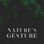 Nature's Gesture cover