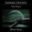 Evening Crickets - Two Hours cover