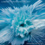 Swimming In The Sky artwork