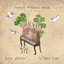 Shadow of Beauty cover