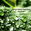 Watefall Green Noise cover