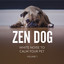 Beach Sounds for Dogs: Lapping Tides cover
