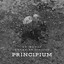 Principium cover