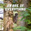 Sounds of Nature: Aware of Everything cover