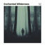Enchated Wilderness cover