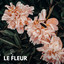 Le Fleur cover