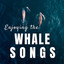Enjoying the Whale Songs cover