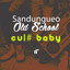 Cul# Baby (Sandungueo) cover