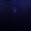 Said The Sky & GG Magree - Drowning