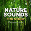 Rain + Deep Thunder Nature Sounds Relax, Study or Sleep with White Noise Loop (No Fade) cover