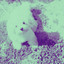 Music for Brave Doggy cover