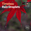 Timeless Rain Droplets cover