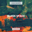 Blank Space - Acoustic cover