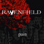 The Pain cover