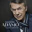 L'amour n'a jamais tort cover