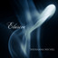Elusive - Shoshana Michel